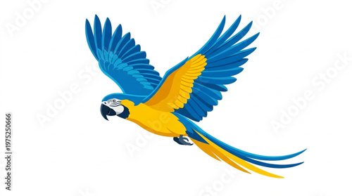 Blue and Yellow Macaw Parrot Flying Isolated on White Background