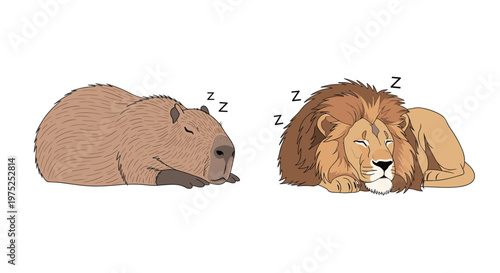 Unlikely pair of animals featuring a large capybara and a majestic male lion sleeping peacefully side by side.