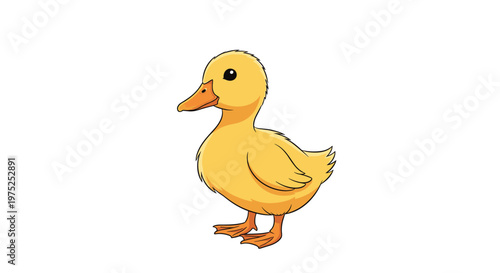 Adorable little yellow duckling standing on its orange webbed feet against a clean white background for nature design.