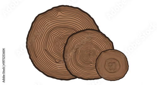 Closeup of three crosssection slices of tree trunk
