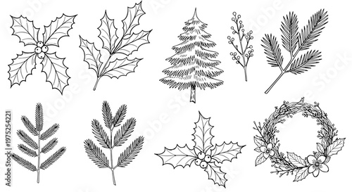 Set of handdrawn christmas and winter holiday foliage illustrations