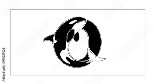 Yin Yang Orca Killer Whale Symbol, Two Whales Embracing in Circle, Marine Life