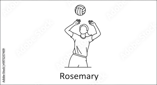 Woman playing volleyball, line art, Rosemary