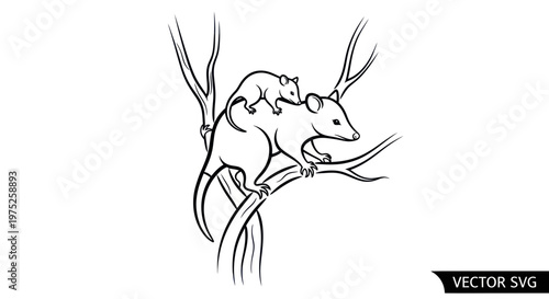 Opossum Mother and Baby Climbing Tree Branch - Line Art Vector