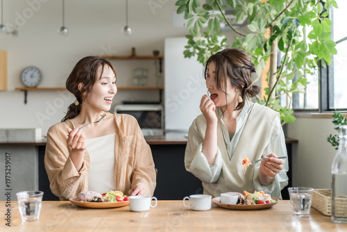 Fotografija Women enjoying a delicious lunch with their female friends/mom friends (girls' g