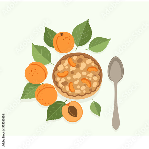 Flat Vector Illustration of Apricot Oatmeal with Fresh Fruit