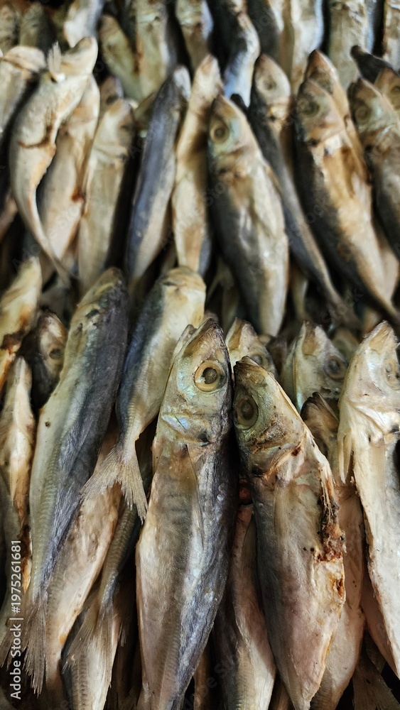 Fototapeta premium Dried salty anchovy or ikan teri asin