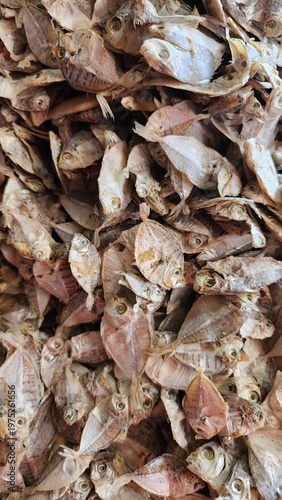 Dried salty anchovy or ikan teri asin