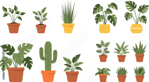 Indoor Plant Collection with Potted Greenery, Monstera, Aloe Vera, Cactus, and Succulents for Home and Office Decoration