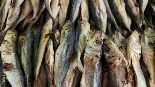 Dried salty anchovy or ikan teri asin