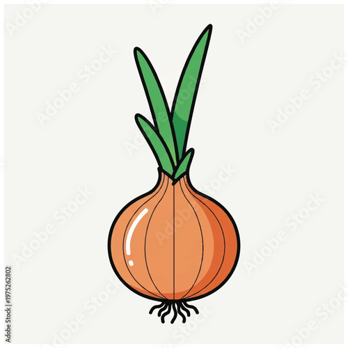 Single Onion Bulb with Green Tops.