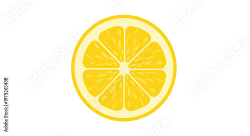 Fresh Yellow Lemon Slice Close-up Isolated on White Background
