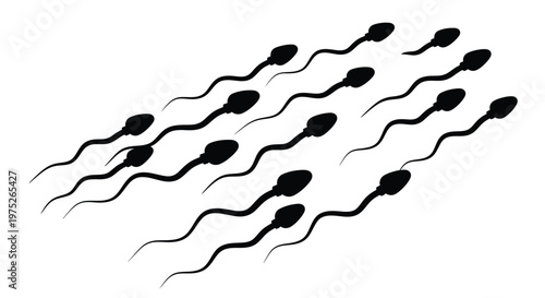 Black silhouettes of human sperm cells swimming on a white background.