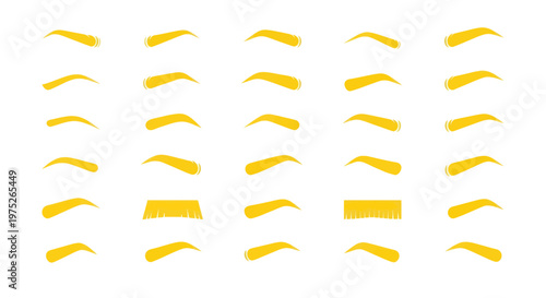 Collection of Diverse Eyebrow Shapes and Styles