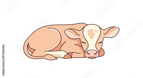 Cute cartoon calf sleeping peacefully on white background, farm animal illustration