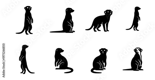 Minimalist meerkat silhouette collection, set of 8 suricate vector icons, black wild animal shapes isolated on white, desert wildlife graphics