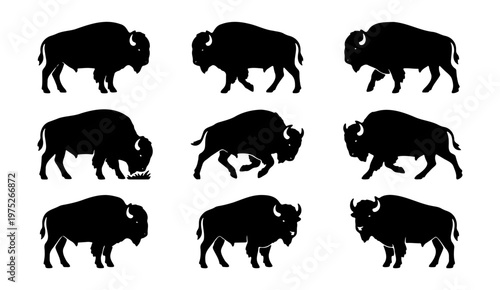 Bison silhouette collection, 9 black buffalo vector icons in various poses, wild american bull animal set for logo design and outdoor branding