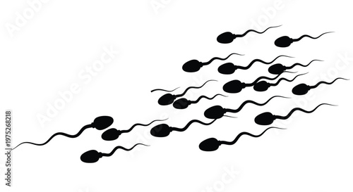 Many human sperm cells swimming actively towards an unseen destination.