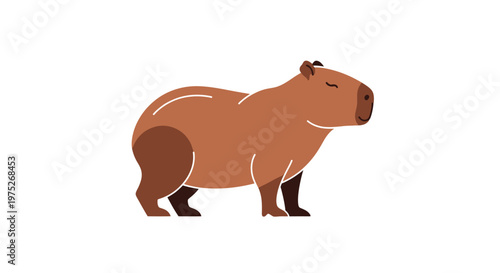 Charming flat design illustration of a happy capybara with closed eyes