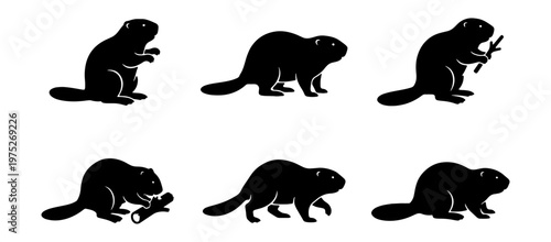 Beaver silhouette collection, set of 6 black animal vector icons, wild beaver in various poses gnawing wood and walking, forest wildlife graphics