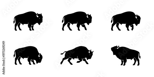 Bison silhouette vector set, 6 American buffalo icons in various poses, wild animal silhouettes for ranch and wilderness branding, black bull graphics