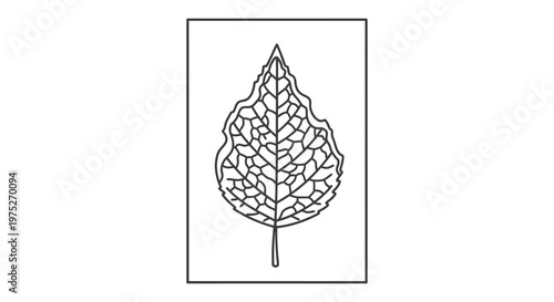 Detailed outline of a leaf skeleton with intricate vein patterns, isolated on white background.