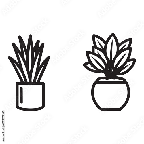 Two plants in pots, one with long thin leaves and one with short wide leaves