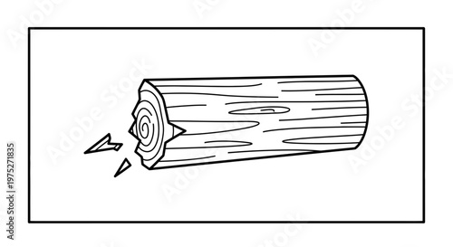 Broken Log with Splinters, Wood Material, Natural Texture, Outdoor Element