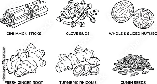A detailed black and white illustration showcases various spices including cinnamon cloves nutmeg ginger turmeric and cumin high quality professional modern elegant stylish