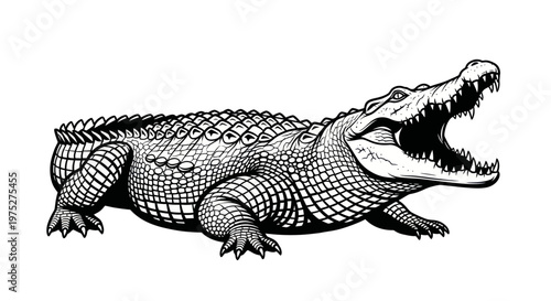 Aggressive Crocodile Biting with Open Mouth, Black and White Line Art