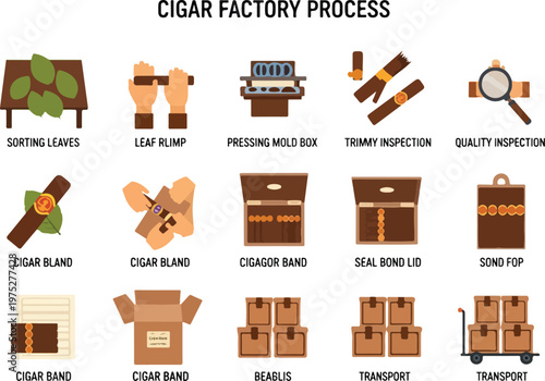 The Cigar Factory Production Process From Sorting Leaves to Transporting the Final Product
