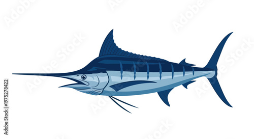 Blue Marlin Fish Illustration Isolated on White Background