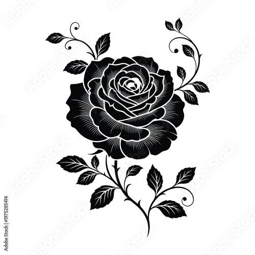 A striking black and white illustration of a detailed rose with intricate petals and winding vines, symbolizing elegance and timeless beauty