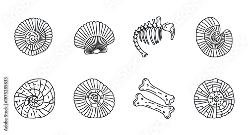 Fossil Collection: Ammonites, Shells, and Dinosaur Bones - Hand Drawn Icons