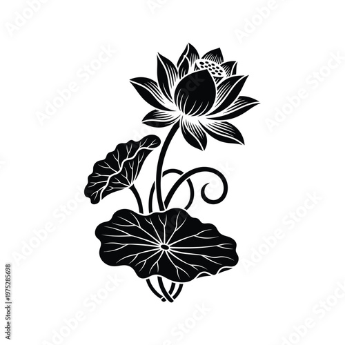 Elegant Black and White Lotus Flower Illustration with Swirling Leaves and Bud