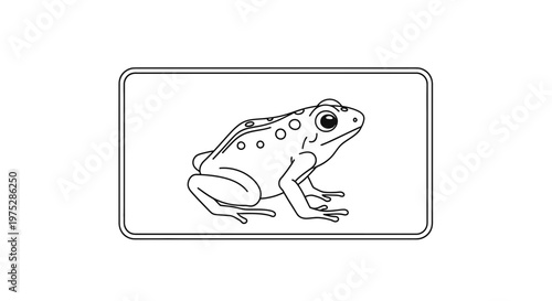 Cute Frog Illustration, Simple Line Art, Isolated on White Background, Animal Icon