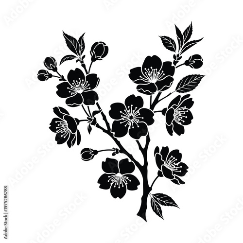 Elegant Black And White Cherry Blossom Branch Illustration