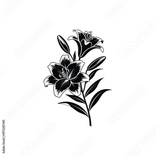 Elegant black and white illustration of a blooming lily flower with leaves, symbolizing beauty and nature's artistry