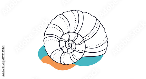 A minimalist line art illustration of a spiral ammonite shell on abstract orange and blue shapes resembling a beach scene.