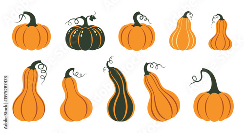 A large collection of autumn pumpkins and gourds in various shapes and sizes in shades of orange and dark green.