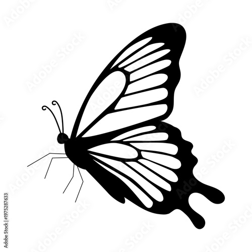 Butterfly Silhouette