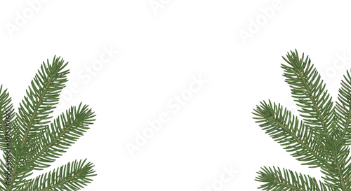 Two realistic green fir tree branches with detailed needles framing the bottom corners of the image with ample white copy space.