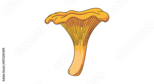 A simple cartoon illustration of a single golden chanterelle mushroom with its distinctive wavy cap and gills on a white background.