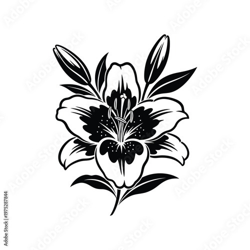 Elegant black and white vector of a blooming lily flower. Features delicate petals, prominent stamen, and graceful leaves with subtle buds, ideal for botanical and refined designs