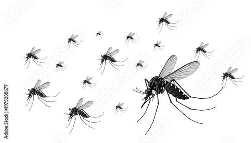 Mosquito swarm in dark moody lighting on white background for pest control advertising