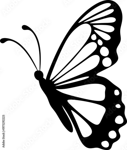Butterfly Insect Silhouette Illustration
