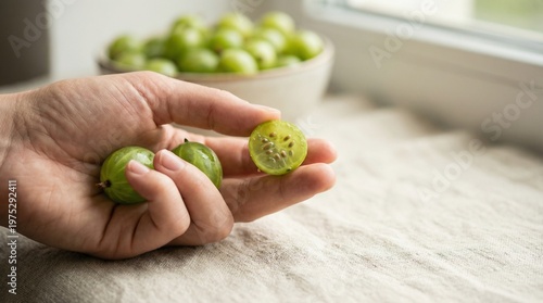 Hand Holding Fresh Gooseberries with Cut Fruit Showing Seeds, Natural Vitamin C Superfood for Immunity, Healthy Eating, Organic Nutrition and Wellness Lifestyle Concept