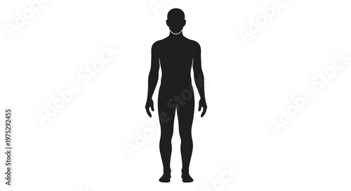 Silhouette of a Man Standing Full Body Front View Isolated on White Background