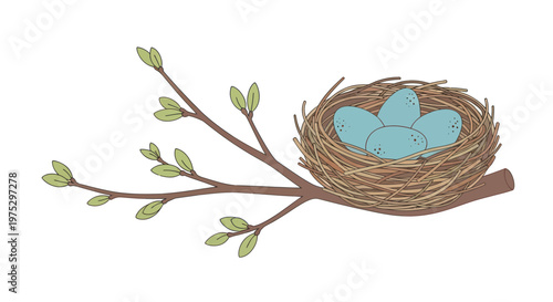 Bird's Nest with Blue Eggs on Spring Branch with New Leaves