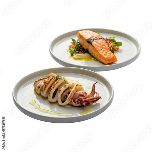 Set of plates with seafood cuisine dish, squid , salmon steak isolated on white background